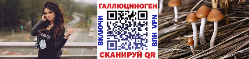 даркнет сайт  blacksprut маркетплейс  Галлюциногенные грибы GOLDEN TEACHER  Харовск 